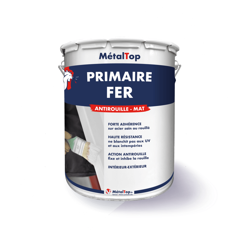 PRIMAIRE FER