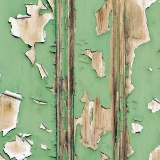 Saturnisme Saturnisme